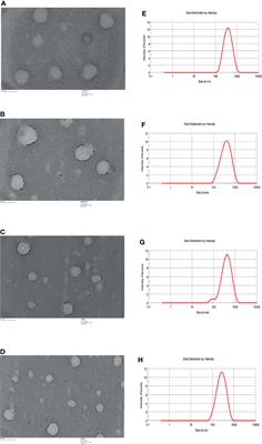 Oral Therapy Using a Combination of Nanotized Antimalarials and Immunomodulatory Molecules Reduces Inflammation and Prevents Parasite Induced Pathology in the Brain and Spleen of P. berghei ANKA Infected C57BL/6 Mice